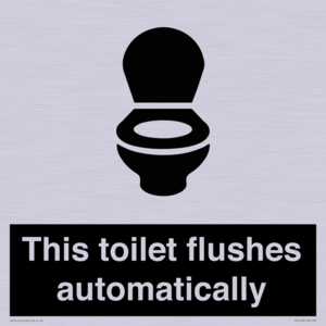 This toilet flushes automatically